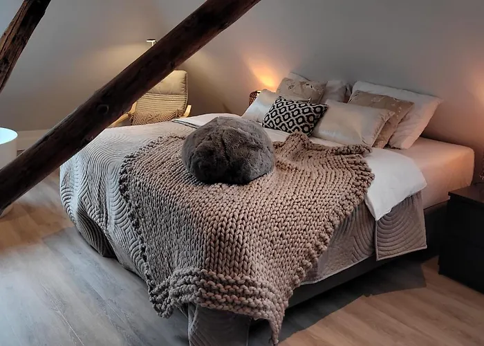 Dream Boutique Edam Bed & Coffee